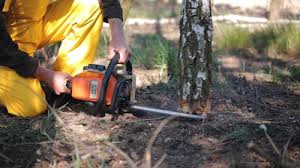 Lawn Grading and Leveling in Sandpoint, ID